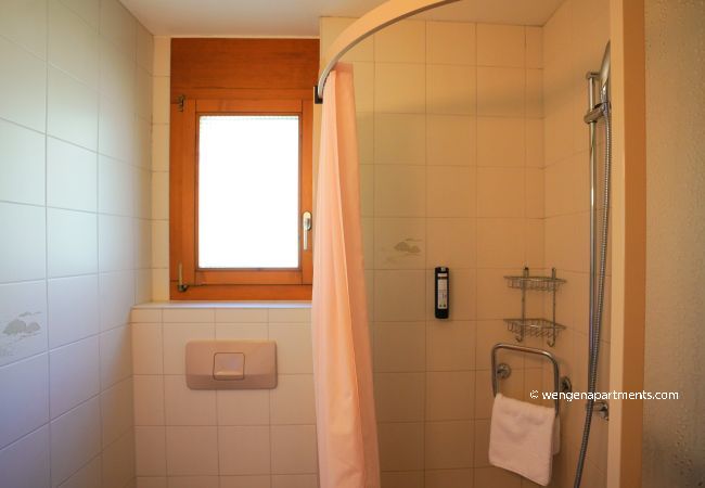 Appartement à Wengen - Chalet Miravalle 3 Appartement à Wengen - Chalet Miravalle 3