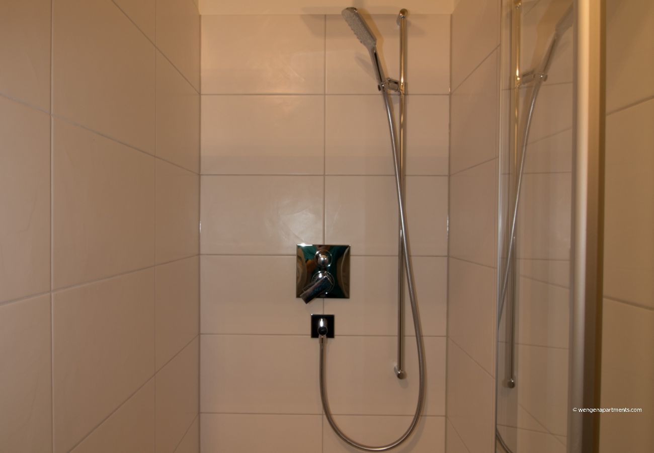 Appartement à Wengen - Chalet Belmont Penthouse Appartement à Wengen - Chalet Belmont Penthouse