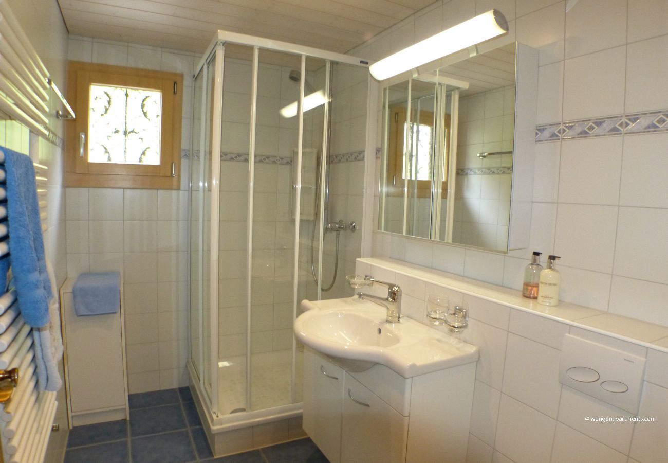 Appartement à Wengen - Chalet Eigersunne 2 Appartement à Wengen - Chalet Eigersunne 2