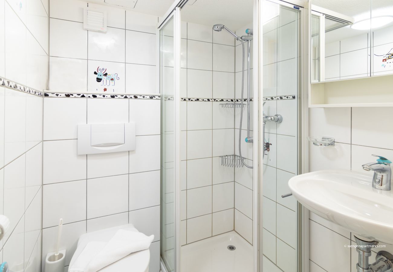 Appartement à Wengen - Chalet Schweizerhof Appartement à Wengen - Chalet Schweizerhof