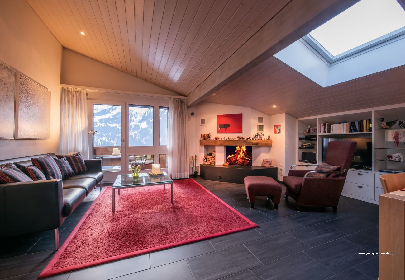 Salle de séjour avec cheminée Salle de séjour avec cheminée