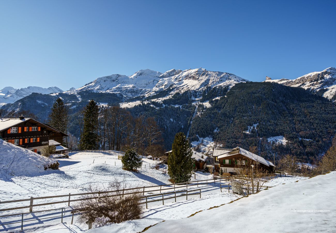 Appartement à Wengen - Chalet Bergrose 1 Appartement à Wengen - Chalet Bergrose 1