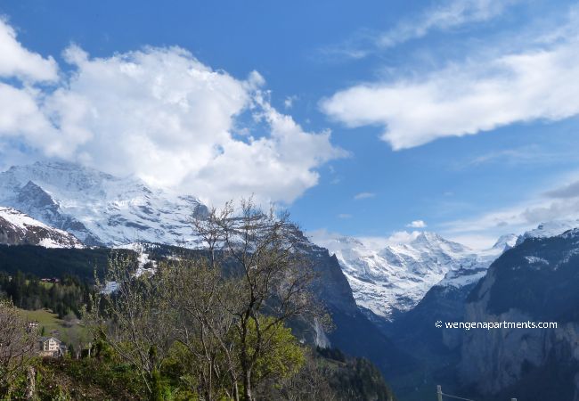 Apartment in Wengen - Chalet Canadian Corner Apartment in Wengen - Chalet Canadian Corner