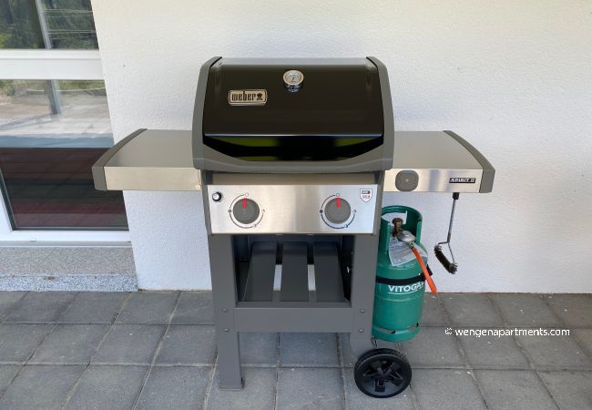 Apartment in Wengen - Chalet Canadian Corner Apartment in Wengen - Chalet Canadian Corner