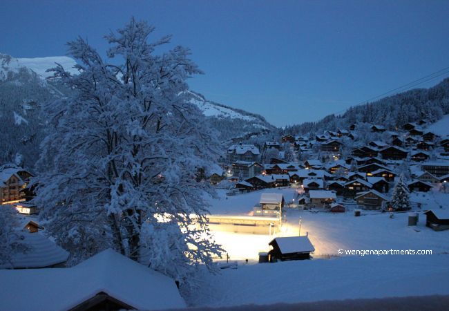 Apartment in Wengen - Chalet Aquila 7 Penthouse Apartment in Wengen - Chalet Aquila 7 Penthouse
