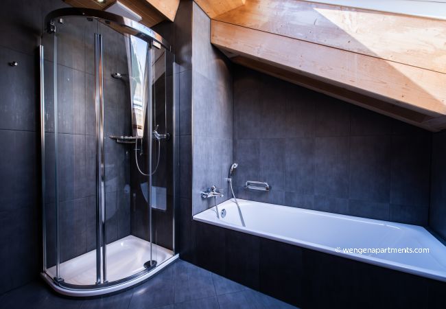 Apartment in Wengen - Chalet Aquila 7 Penthouse Apartment in Wengen - Chalet Aquila 7 Penthouse