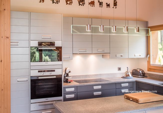 Apartment in Wengen - Chalet Fortuna 4 Penthouse Apartment in Wengen - Chalet Fortuna 4 Penthouse