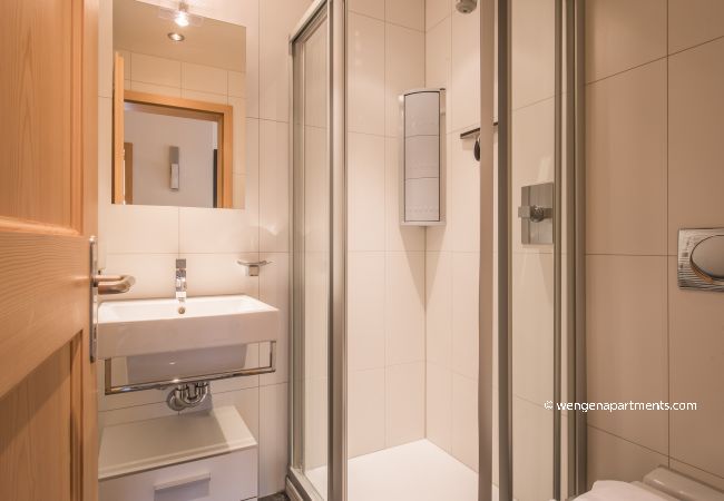 Apartment in Wengen - Chalet Fortuna 4 Penthouse Apartment in Wengen - Chalet Fortuna 4 Penthouse