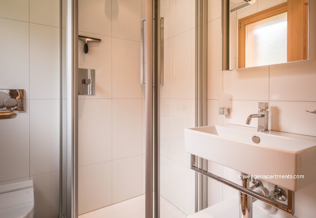 Apartment in Wengen - Chalet Fortuna 4 Penthouse Apartment in Wengen - Chalet Fortuna 4 Penthouse