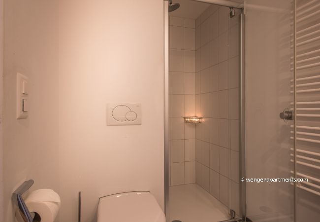 Apartment in Wengen - Chalet Dillon Apartment in Wengen - Chalet Dillon