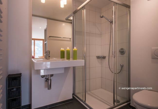 Apartment in Wengen - Chalet Dillon Apartment in Wengen - Chalet Dillon