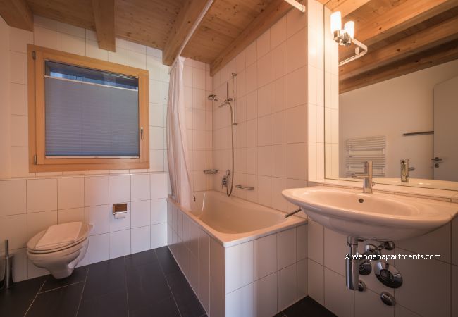 Apartment in Wengen - Chalet Wyssbirg Apartment in Wengen - Chalet Wyssbirg