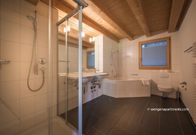 Apartment in Wengen - Chalet Wyssbirg Apartment in Wengen - Chalet Wyssbirg