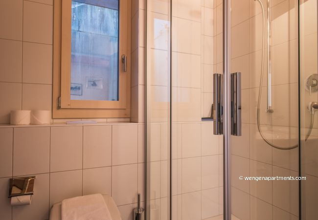 Apartment in Wengen - Chalet Wyssbirg Apartment in Wengen - Chalet Wyssbirg