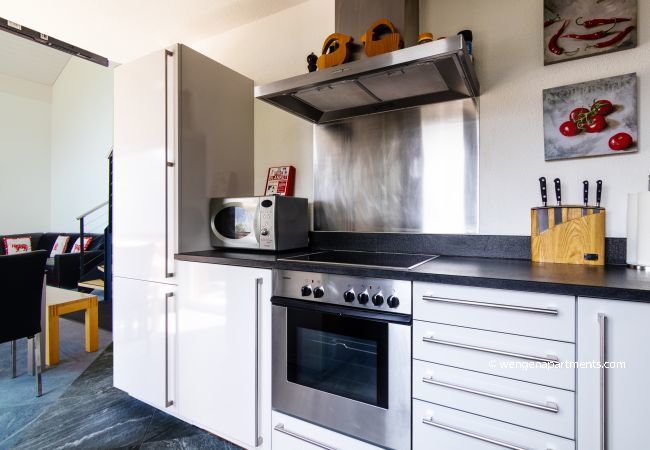 Apartment in Wengen - Chalet Hannegg Penthouse Apartment in Wengen - Chalet Hannegg Penthouse