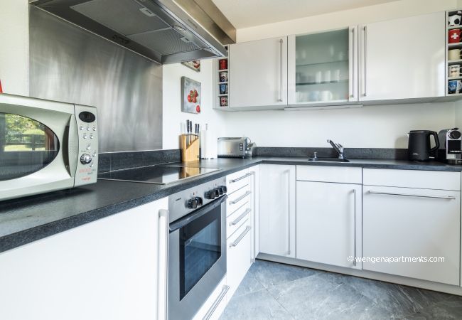 Apartment in Wengen - Chalet Hannegg Penthouse Apartment in Wengen - Chalet Hannegg Penthouse