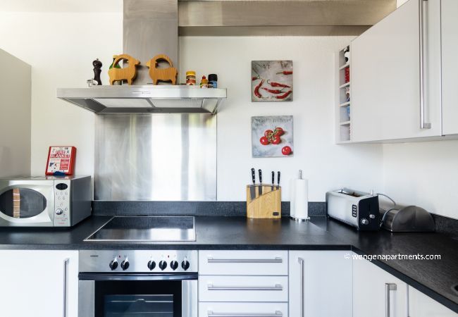 Apartment in Wengen - Chalet Hannegg Penthouse Apartment in Wengen - Chalet Hannegg Penthouse