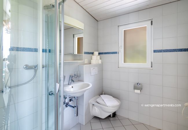 Apartment in Wengen - Chalet Hannegg Penthouse Apartment in Wengen - Chalet Hannegg Penthouse