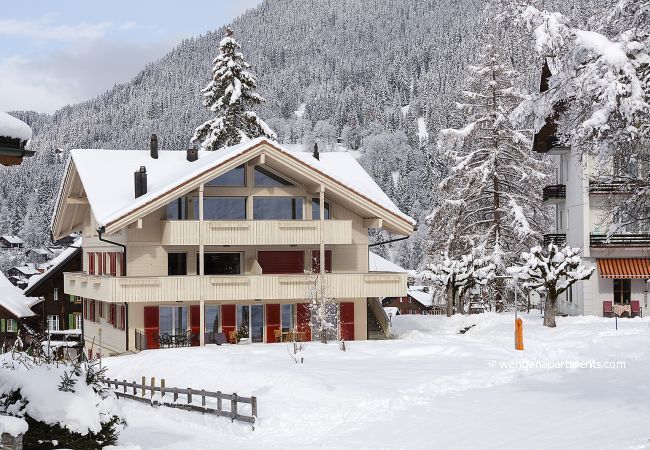 Apartment in Wengen - Chalet Brunner Penthouse Apartment in Wengen - Chalet Brunner Penthouse