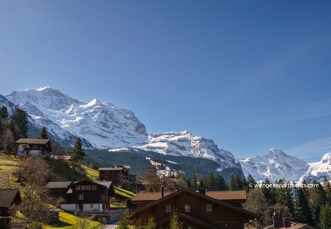 Apartment in Wengen - Chalet Brunner Penthouse Apartment in Wengen - Chalet Brunner Penthouse