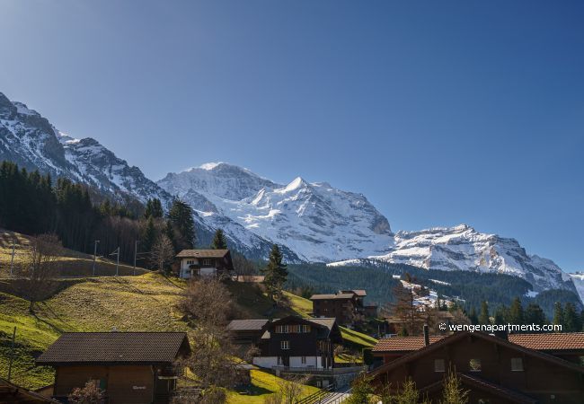 Apartment in Wengen - Chalet Brunner Penthouse Apartment in Wengen - Chalet Brunner Penthouse