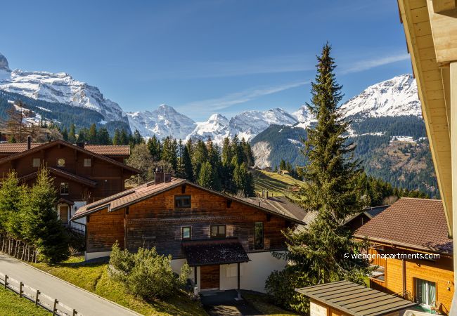 Apartment in Wengen - Chalet Brunner Penthouse Apartment in Wengen - Chalet Brunner Penthouse