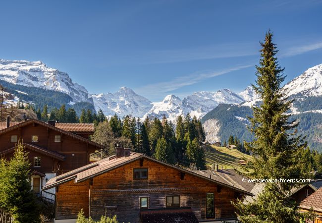 Apartment in Wengen - Chalet Brunner Penthouse Apartment in Wengen - Chalet Brunner Penthouse