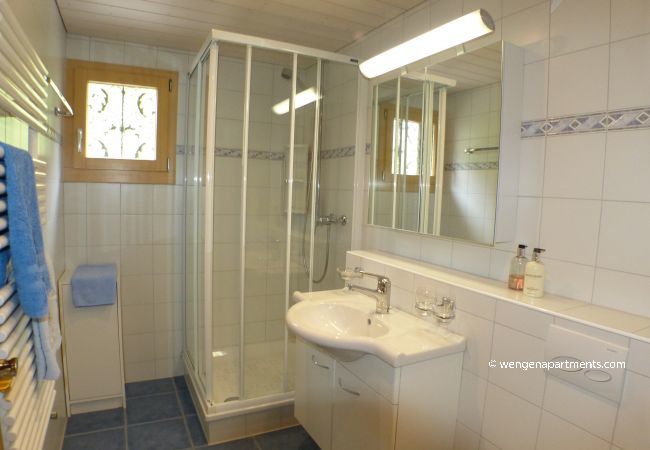 Apartment in Wengen - Chalet Eigersunne 2 Apartment in Wengen - Chalet Eigersunne 2