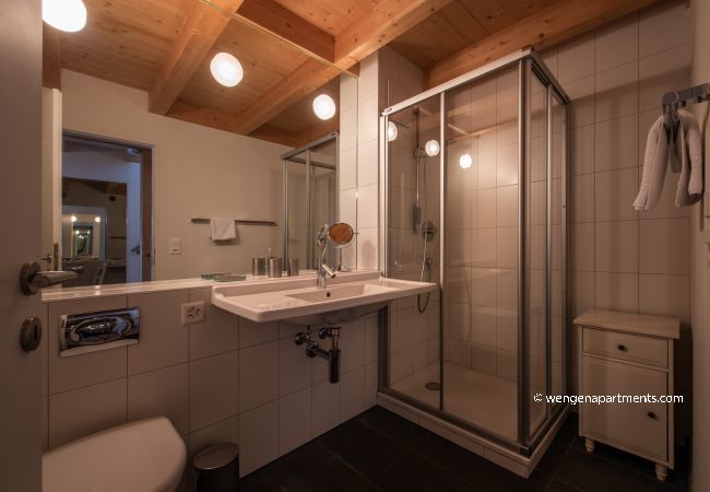 Apartment in Wengen - Chalet Roossi 3 Apartment in Wengen - Chalet Roossi 3