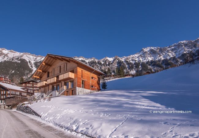 Apartment in Wengen - Chalet Roossi 3 Apartment in Wengen - Chalet Roossi 3