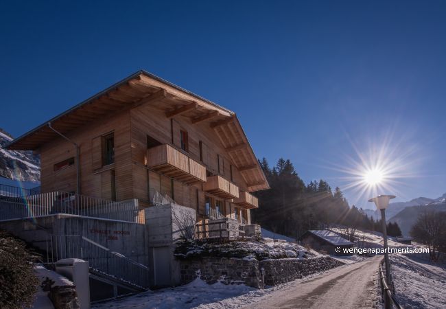 Apartment in Wengen - Chalet Roossi 3 Apartment in Wengen - Chalet Roossi 3