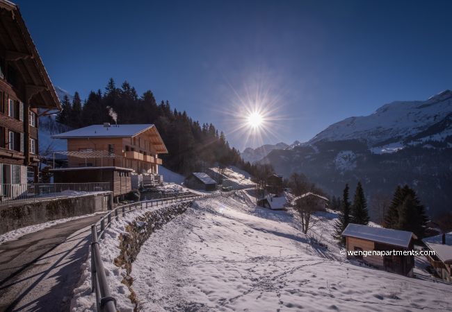 Apartment in Wengen - Chalet Roossi 3 Apartment in Wengen - Chalet Roossi 3