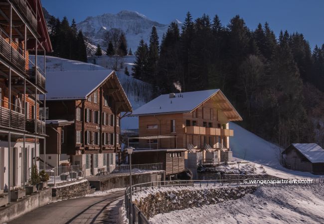 Apartment in Wengen - Chalet Roossi 3 Apartment in Wengen - Chalet Roossi 3