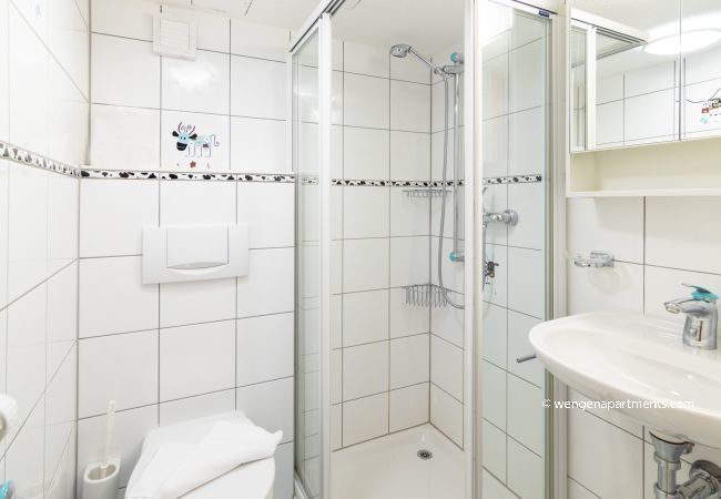 Apartment in Wengen - Chalet Schweizerhof Apartment in Wengen - Chalet Schweizerhof