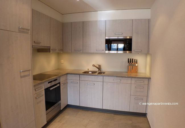 Apartment in Wengen - Chalet Bella Vista 6 Apartment in Wengen - Chalet Bella Vista 6