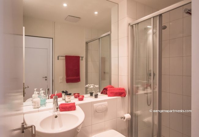 Apartment in Wengen - Eden Residence 2 Apartment in Wengen - Eden Residence 2