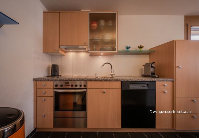 Apartment in Wengen - Chalet Alpenrebe Apartment in Wengen - Chalet Alpenrebe