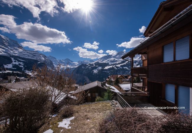 Apartment in Wengen - Chalet Alpenrebe Apartment in Wengen - Chalet Alpenrebe