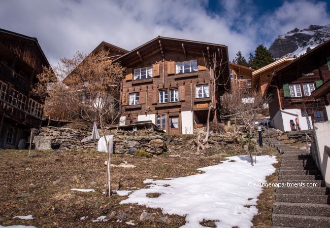 Apartment in Wengen - Chalet Alpenrebe Apartment in Wengen - Chalet Alpenrebe