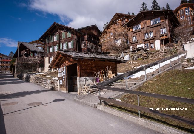 Apartment in Wengen - Chalet Alpenrebe Apartment in Wengen - Chalet Alpenrebe