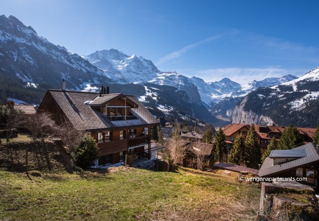 Apartment in Wengen - Chalet Alpenrebe Apartment in Wengen - Chalet Alpenrebe