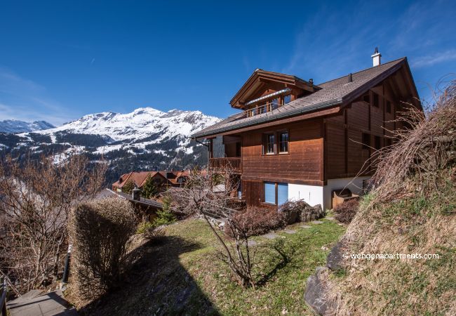 Apartment in Wengen - Chalet Alpenrebe Apartment in Wengen - Chalet Alpenrebe