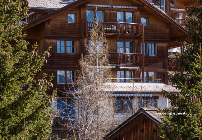 Apartment in Wengen - Chalet Alpenrebe Apartment in Wengen - Chalet Alpenrebe