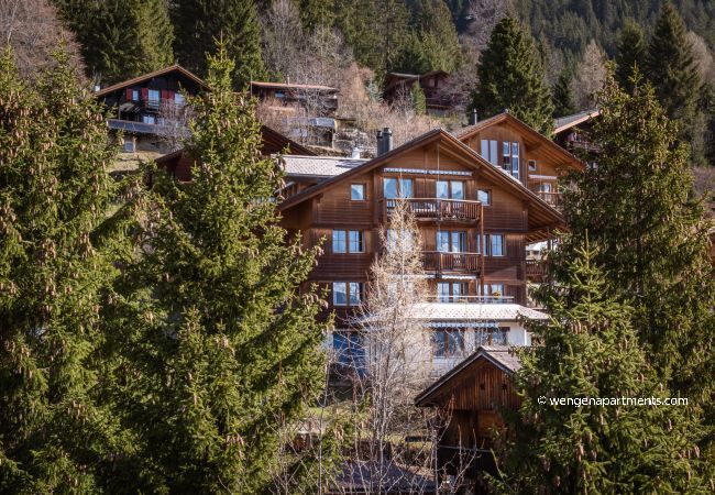 Apartment in Wengen - Chalet Alpenrebe Apartment in Wengen - Chalet Alpenrebe