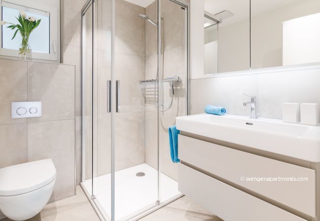 Apartment in Wengen - Chalet Alpenheim 1 Apartment in Wengen - Chalet Alpenheim 1