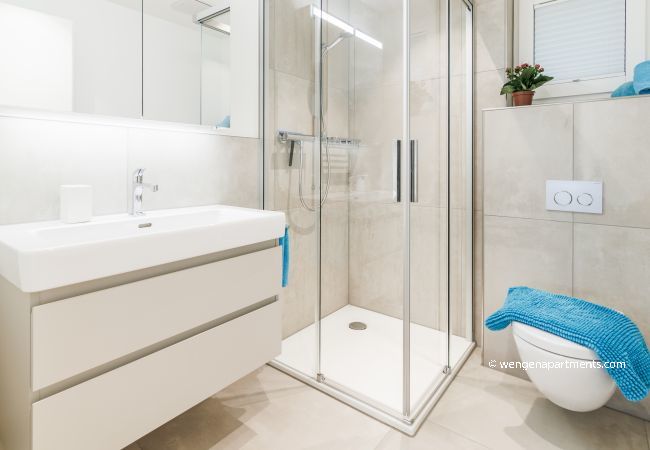 Apartment in Wengen - Chalet Alpenheim 1 Apartment in Wengen - Chalet Alpenheim 1