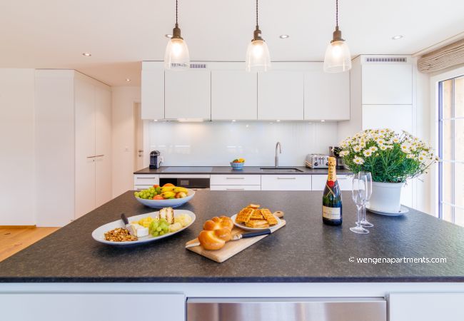 Apartment in Wengen - Chalet Alpenheim 1 Apartment in Wengen - Chalet Alpenheim 1