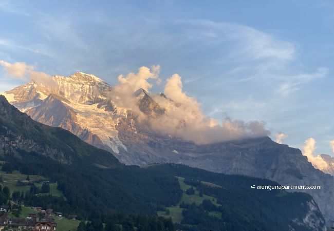 Apartment in Wengen - Kinohaus 3 Apartment in Wengen - Kinohaus 3