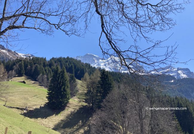 Apartment in Wengen - Kinohaus 3 Apartment in Wengen - Kinohaus 3
