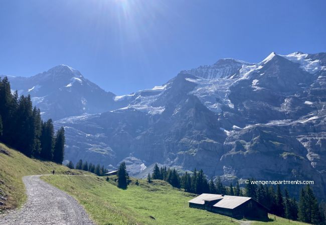 Apartment in Wengen - Kinohaus 3 Apartment in Wengen - Kinohaus 3